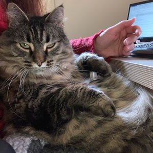 Meet your Posher, Brooke